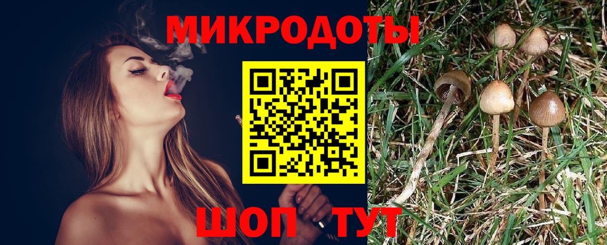 Галлюциногенные грибы прущие грибы  Вход с VPN  Южно-Сахалинск  где можно купить наркотик  Псилоцибиновые грибы ЛСД 